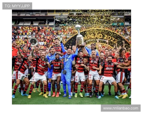 巴西球队展现统治力连续七年夺得南美解放者杯冠军荣耀